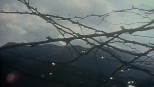 The Weald