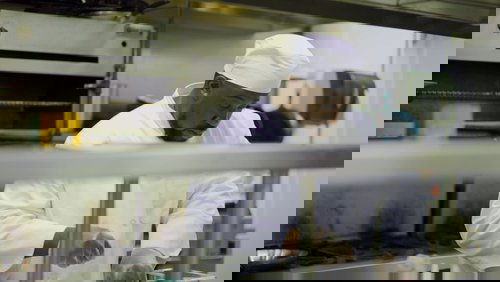 Knife Skills