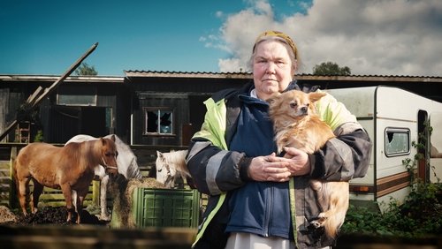 Hvem chikanerer Tove?