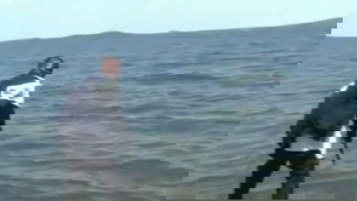 Who Killed Captain Alex?