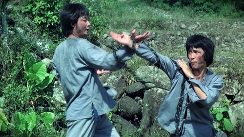 Monkey Kung Fu