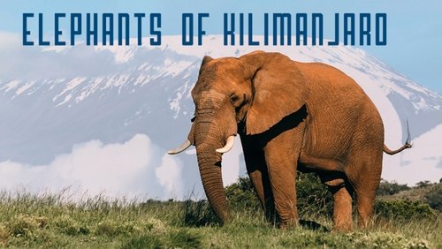 Elephants of Kilimanjaro