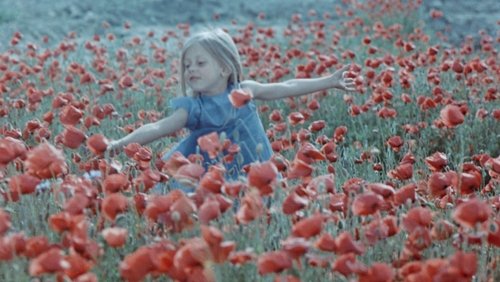 Colourful Dreams