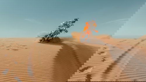 Dakar Chronicles