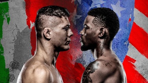 UFC on ABC 2: Vettori vs. Holland