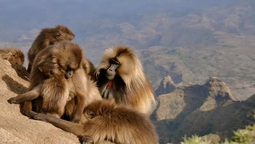 Africa's Hidden Wonders