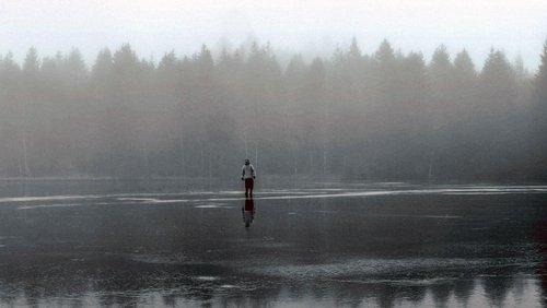 La vie dans les bois - D'après "Walden" de Henry David Thoreau