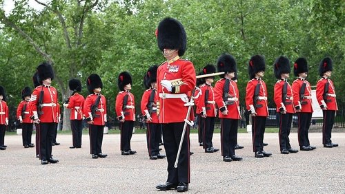 The Queen's Guards: A Year In Service
