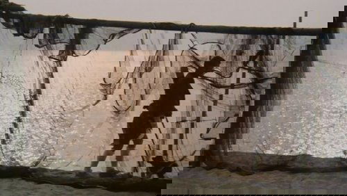 Zatoichi in Desperation