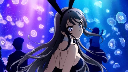 Rascal Does Not Dream of Bunny Girl Senpai