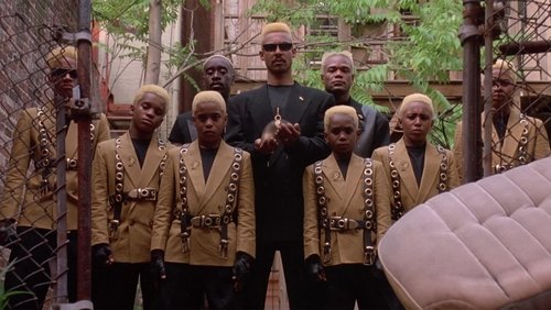 The Meteor Man