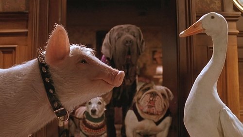 Babe: Pig in the City