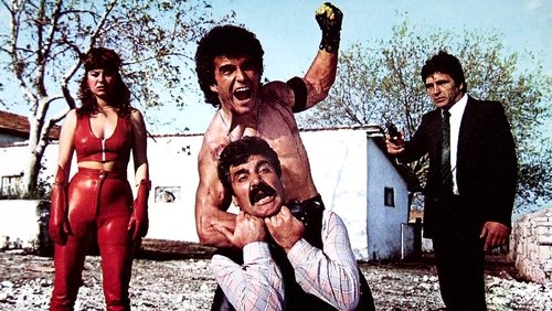 İntikamcı