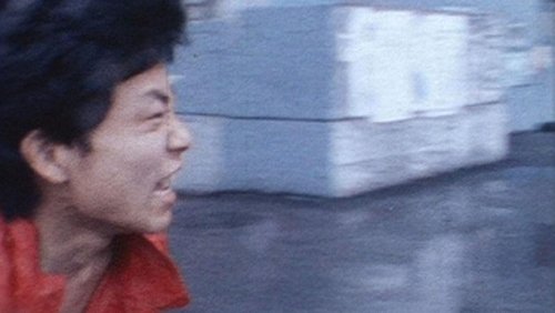A Man's Flower Road