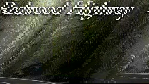 Redwood Highway