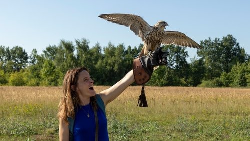 My Falcon