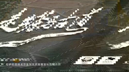 走出茶马古道