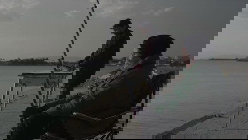 Wild Duck