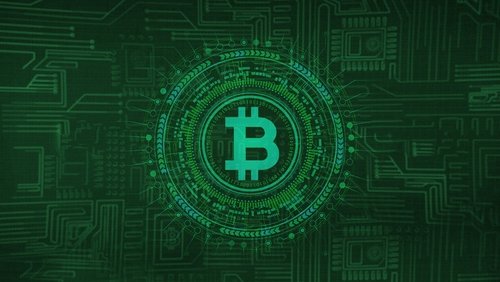 Cryptokoorts