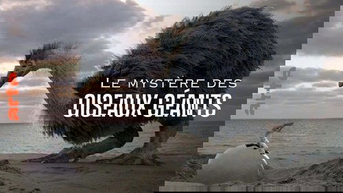 Mystery of the Giant Birds