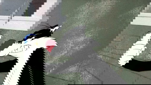 Father Of The Bird