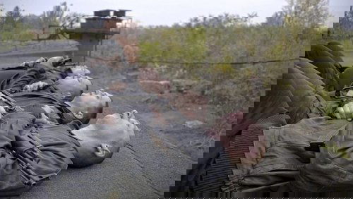 Rhino