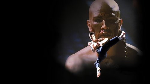 Kickboxer 4: The Aggressor
