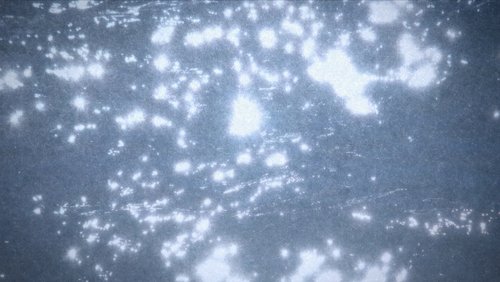 Microcosmos