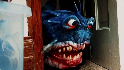 Doll Shark