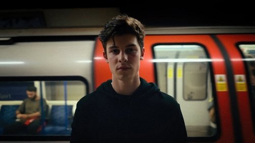 Shawn Mendes: Artist Spotlight Stories