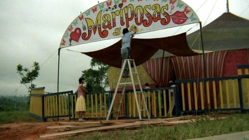 Mariposas S. A.