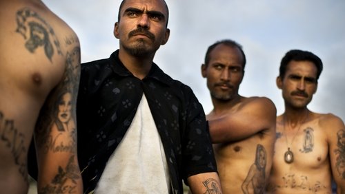 Narco Cultura