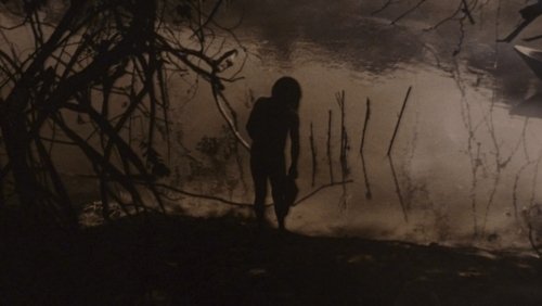 Lacandones, expedición Leonard 1955