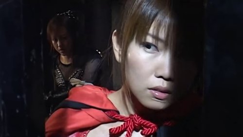 Ninja Vixens: Web of Passion