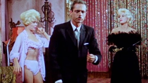 The Bellboy and the Playgirls