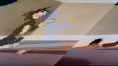 Shutter Bugged Cat