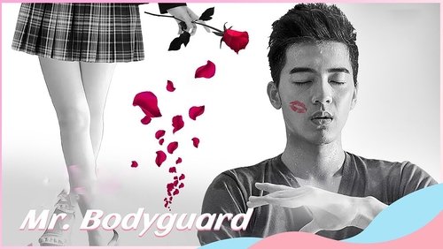 Mr. Bodyguard