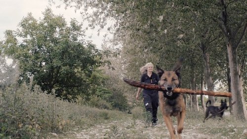 Underdog