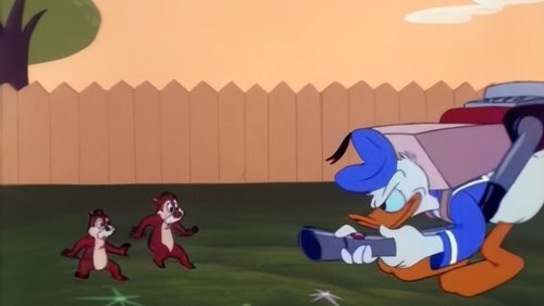 Donald and the Big Nut