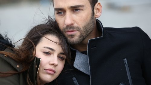 Acı Aşk