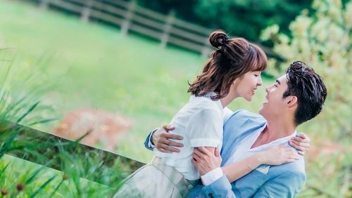 Memory Love