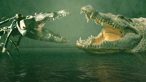 Animal Face-Off