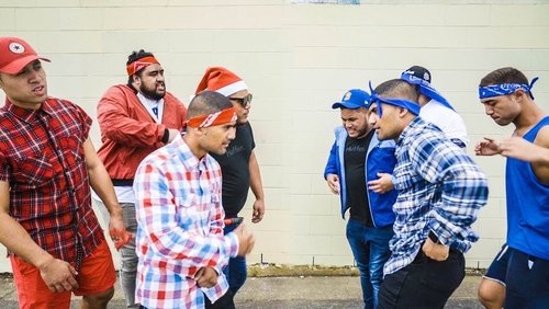 Crips and Bloods: Made in America