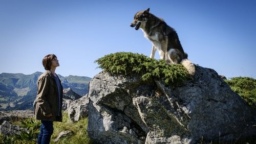 Mort d'un berger