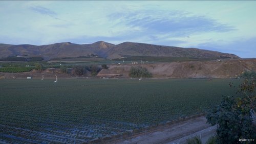 Field Song