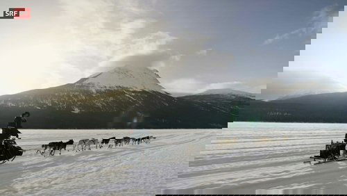 Musher, l'appel de l'Alaska