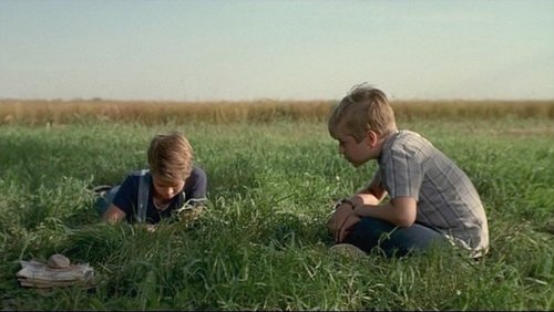 The Nature of Nicholas