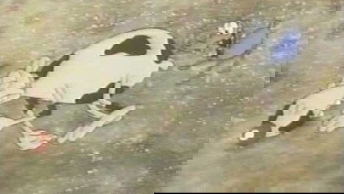 Guano!