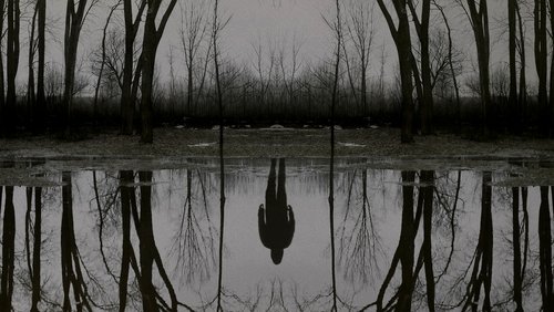 The Outsider