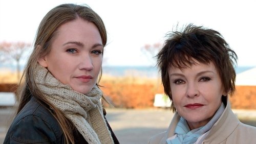 The Usedom Thriller: Mörderhus